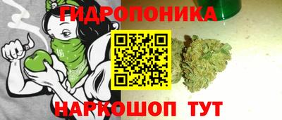 mdma Можга