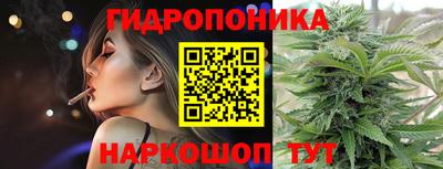 соль ск Моздок
