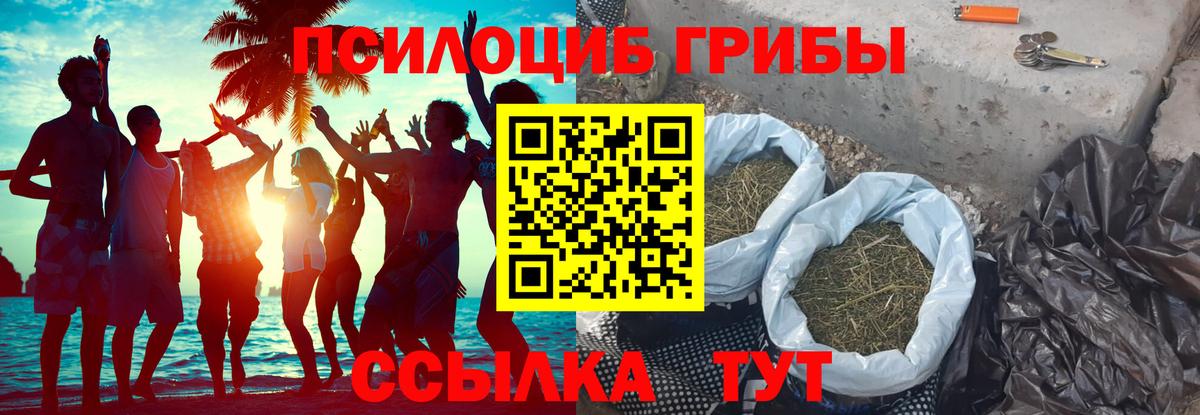 Чусовой  Псилоцибиновые грибы мухоморы  Вход с VPN  Галлюциногенные грибы Cubensis 